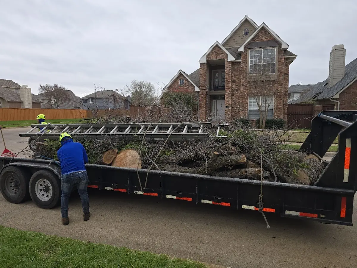 Expert Tree Fertilization with proper safety equipment in Port Byron